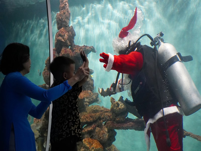 Khánh Hòa: Đông đảo du khách hào hứng chiêm ngưỡng ông già Noel bơi lượn cùng đàn cá - Anh 2