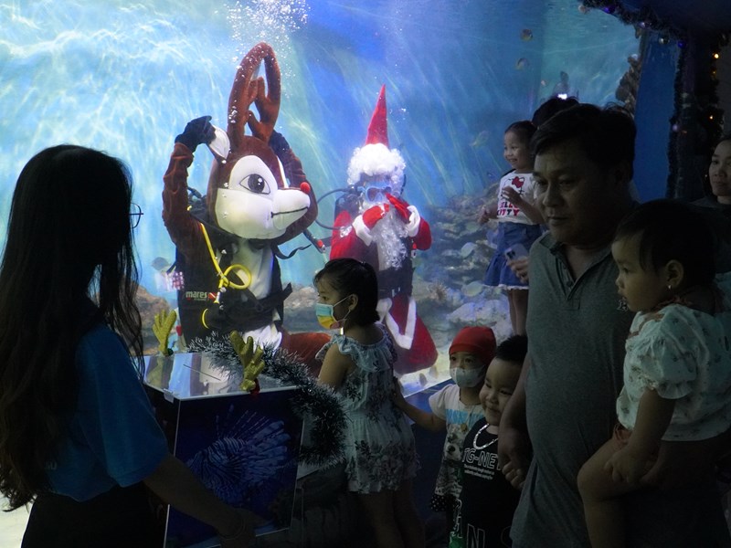 Khánh Hòa: Đông đảo du khách hào hứng chiêm ngưỡng ông già Noel bơi lượn cùng đàn cá - Anh 3