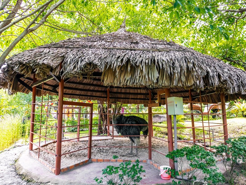 Khu du lịch Galina Lake View (Khánh Hòa): Nhiều hoạt động vui chơi thú vị cho du khách dịp Tết Nguyên đán - Anh 7