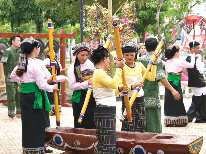 Cây bông nở hoa đón Tết - Anh 1