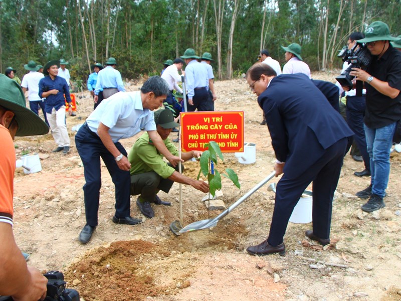 Khánh Hòa phát động Tết trồng cây - Anh 1
