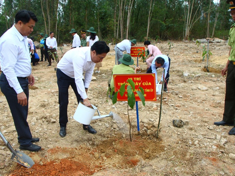 Khánh Hòa phát động Tết trồng cây - Anh 2