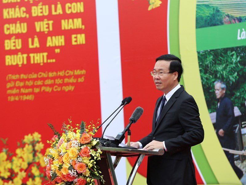 Chủ tịch nước Võ Văn Thưởng: Văn hoá là một trong những trụ cột của phát triển bền vững đất nước - Anh 3