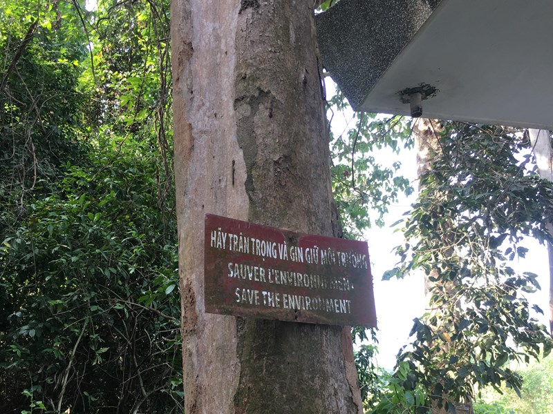 Tình yêu đất Việt mãnh liệt của ông Năm Yersin - Anh 5