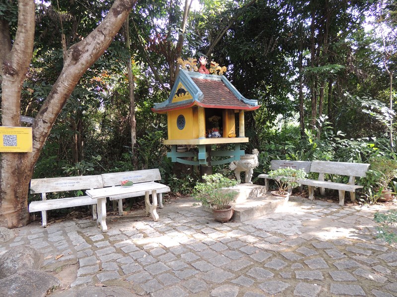 Tình yêu đất Việt mãnh liệt của ông Năm Yersin - Anh 8