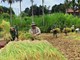 Nhiều hoạt động thiết thực hướng về nhân dân khu vực biên giới ở Huế