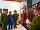 Tuyên phạt 13 năm tù đối với cựu Giám đốc Đại học Huế