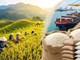 Giá lúa gạo hôm nay 15.5: Lúa thơm tăng giá trở lại
