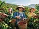Giá cà phê hôm nay 24.6: Rời xa mốc 90.000 đồng/kg, vì sao giảm?