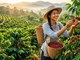 Giá cà phê hôm nay 10.7.2026: Mất 2.500 đồng/kg, thị trường hạ nhiệt