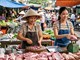 Giá heo hơi hôm nay 13.7 : Miền Bắc neo cao, miền Nam vẫn trầm lắng