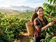 Giá cà phê hôm nay 6.8.2026 tăng mạnh, cao nhất 98.300 đồng/kg