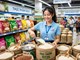 Giá lúa gạo hôm nay 8.10.2026: Lúa tăng, gạo nguyên liệu giảm nhẹ