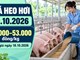 Giá heo hơi hôm nay 19.10.2026: Chờ tín hiệu phục hồi đầu tuần