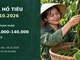Giá hồ tiêu hôm nay 29.10.2026: Chênh lệch giữa các vùng 3.000 đồng/kg