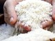 Gạo hữu cơ, gạo đặc sản được “mở cửa” xuất khẩu thế nào từ tháng 10?