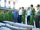 Hải Phòng: Bắt giữ 3 đối tượng tháo trộm 4 nhịp cầu đá cổ trên 100 năm tuổi