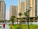 Mua nhà hay mua căn hộ tại Quận 7 (cũ): 5 tiêu chí so sánh và cách tìm tin đăng trên Batdongsan.com.vn