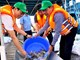 An Giang – Cần Thơ – Đồng Tháp thả cá giống tái tạo nguồn lợi thủy sản