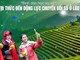 Lào Cai phấn đấu 40% người dân trưởng thành đạt chuẩn kỹ năng số năm 2026