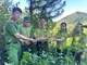 Công an xã Phù Yên phối hợp tái thả cá thể cú mèo quý hiếm về tự nhiên