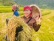 Sơn Lương rộn ràng chuẩn bị Lễ hội Mừng cơm mới