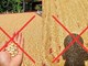 Đăng ảnh thóc phơi ngoài trời nắng nóng “nổ thành bỏng”, bị xử phạt 7,5 triệu đồng