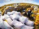 Giá lương thực cao nhất gần bốn năm: Giá đường dẫn đà tăng, cao lương bật 13,7%
