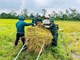 Tình quân dân “gieo” giữa mùa gặt