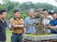 Triển lãm Nghệ thuật Bonsai 2026: Dấu ấn quy mô và tầm nhìn trong hành trình tôn vinh sinh vật cảnh Việt Nam