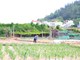 Lý Sơn ưu tiên nguồn lực tạo sinh kế cho người dân
