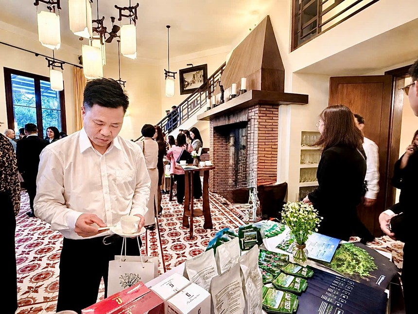 Kết nối B2B mở thêm cơ hội đưa dòng khách mới về Lâm Đồng - ảnh 3