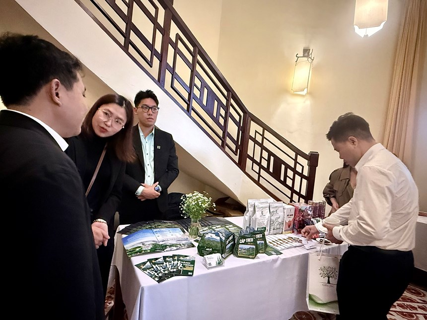 Kết nối B2B mở thêm cơ hội đưa dòng khách mới về Lâm Đồng - ảnh 6