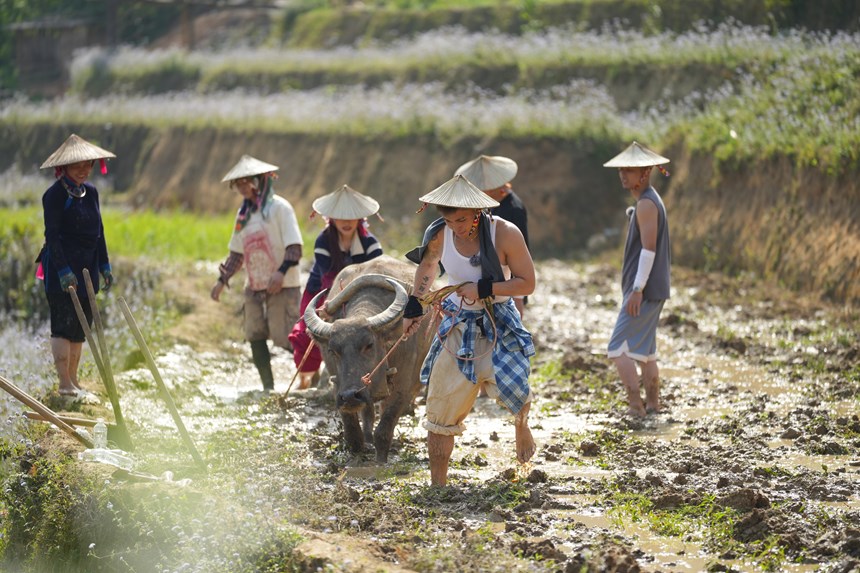 Khi những giọt mồ hôi gắn kết và chữa lành - ảnh 2