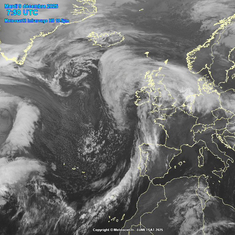 Cảnh báo ĐỎ: Cơn bão mới giật 160 km/h hoành hành, trường học đóng cửa, chuyến bay bị hủy hàng loạt - ảnh 1