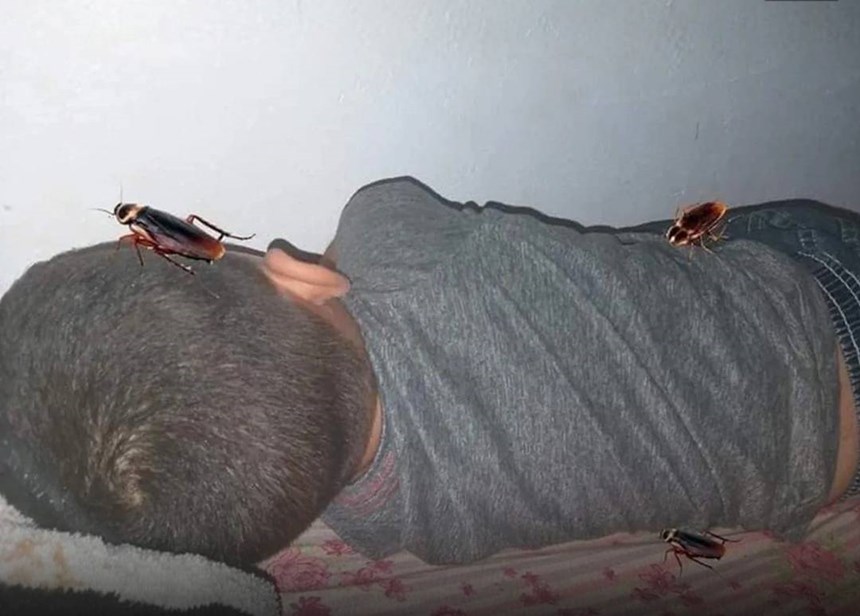 1 bức ảnh chỉnh sửa của mẹ khiến cậu bé sợ đến mức tắm 20 lần/ngày, nhiều phụ huynh xem cũng rùng mình - ảnh 1